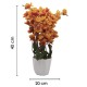 Orange Blossoms Flower Plant With Pot