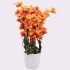 Orange Blossoms Flower Plant With Pot