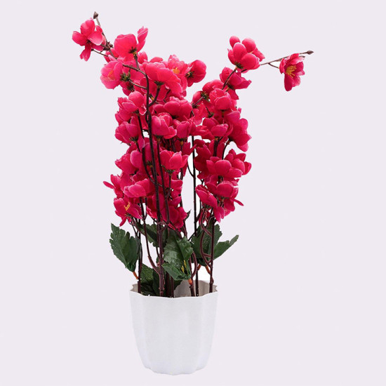Pink Blossoms Flower Plant With Pot