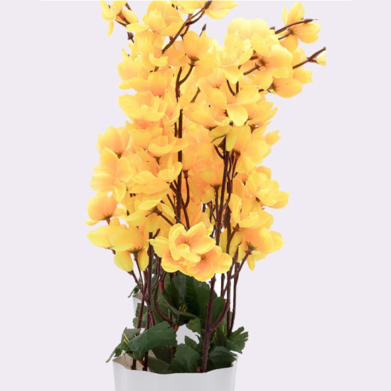 Yellow Blossoms Flower Plant With Pot Yellow Blossoms Flower Plant With Pot