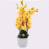 Yellow Blossoms Flower Plant With Pot