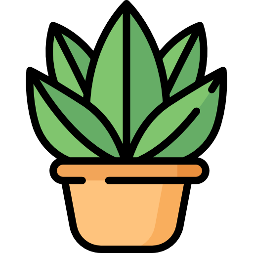 Personalized Plants in andaman-nicobar